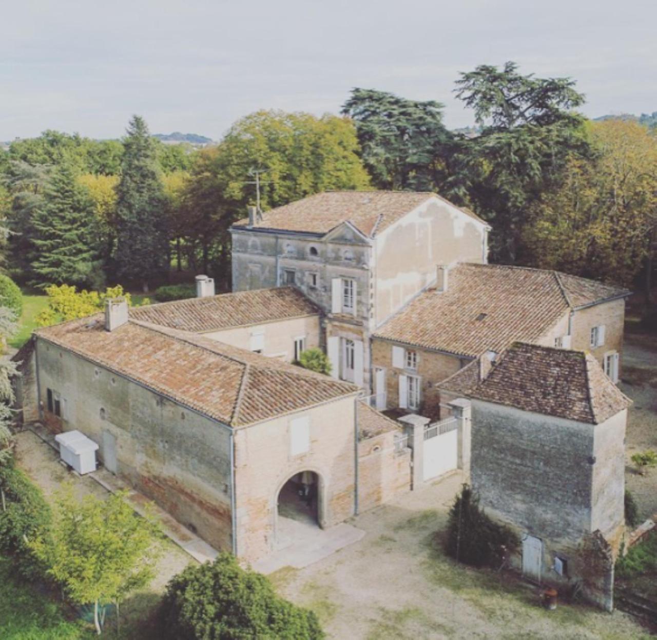 Chateau De Ferregues - L'Appart Tonneins Dış mekan fotoğraf